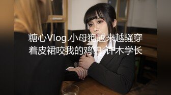 糖心Vlog.小母狗越来越骚穿着皮裙咬我的鸡巴-许木学长