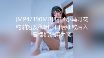 麻豆传媒 MD-0230-1 家族团员年夜饭母女乱伦