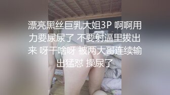 一米八的大梨子 - 女仆拓展包