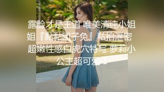 新来的女仆（2）