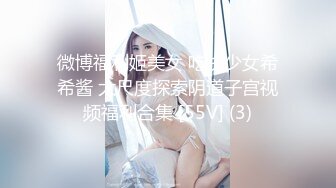 [MP4/795MB]我和前女友的姐姐后续6-各种姿势操姐姐