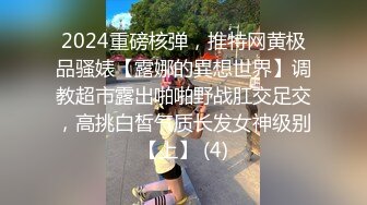 2024重磅核弹，推特网黄极品骚婊【露娜的異想世界】调教超市露出啪啪野战肛交足交，高挑白皙气质长发女神级别【上】 (4)