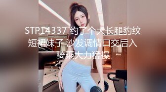 偷情的小婊子