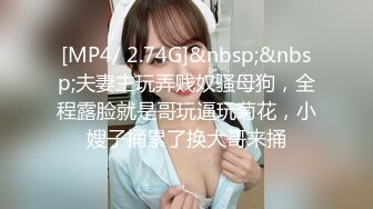 《最新购买精品》超顶大尺度！假面舞团美乳肥臀眼镜御姐69号VIP版~各种情趣赤裸裸露奶露逼顶胯摇摆挑逗~诱惑力十足 (2)