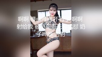 W 中的女主人。 威胁的套房房间客舱乘务员VDD-100