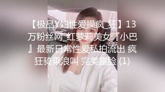 猎奇最美人妖系列张恩静14