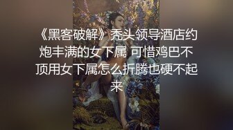 麻豆传媒 MCY0110 黑丝收藏家的秘密交易 夏禹熙