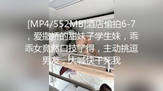 极品人妻少妇 口活不错