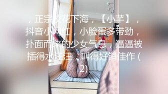 萌白醬(甜味彌漫) 格子襯衫肉絲(VIP)