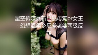 星空传媒最新出品母狗or女王 - 幻想温柔乡反差老婆两级反转