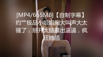 [MP4/665MB]【自制字幕】约艹极品小姐姐胸大叫声大太骚了，掰开大腿露出逼逼，疯狂抽插