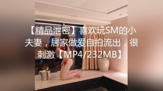 可爱小女仆为了5星好评让我爆肏