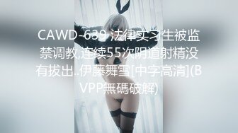 [MP4/320MB]【AI画质增强】91猫先生~极品网红小姐姐，在马路上露出后被猫先生狂艹不止