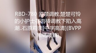 RBD-780 监禁调教.楚楚可怜的小护士在肉棒调教下陷入高潮..石原莉奈[中字高清](BVPP無碼破解)