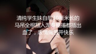 极品小女友大乳晕奶子 吊带黑丝袜 被操的水声哗哗 大白美臀猛干