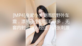 [MP4]良家小夫妻雨后野外车震，漂亮小少妇阴毛超多，无套内射，路人经过，紧张刺激