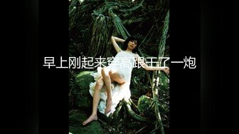 魔手外购 精品厕拍系列《换衣大号》（女神掰粑粑）【30v】 (10)