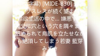 (中文字幕) [SDAB-138] 真夏に中年オヤジと、濃密液狂い接吻交尾。 武田エレナ