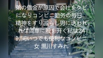 弟の借金が原因で会社をクビになりコンビニ勤务の毎日…精神をすり减らし男に诱われれば简単に股を开く私は24时间いつでも便利なコンビニ女 黒川すみれ