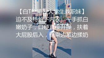 爱吃大鸡吧的少妇