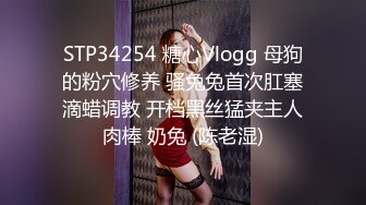 [MP4]國產麻豆AV MDX MDX0034 空降女優陪你淫新年 與你共渡淫蕩春宵 安娜 VIP0600