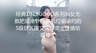 经典1919GOGO系列阅女无数肥猪佬针孔多机位偸录约的S级巨乳援交妹好菜全让猪给霍霍了