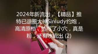 2024年新流出，【精品】推特已退圈大神Sinludy约炮，高清原档，特写了小穴，真是粉，还有水流出 (2)