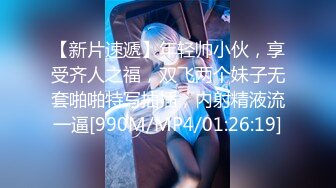 MDX-0256 赵晓涵 蕾姆的温腥圣诞夜 3P性爱派对 麻豆传媒映画