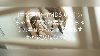 (中文字幕) [DASD-773] バイセクニューハーフ Debut 牧野詩音