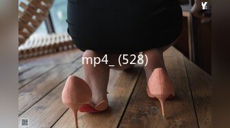 mp4_ (528)