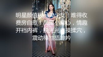 少妇白洁MDSR-0005-4一路风流的新婚少妇