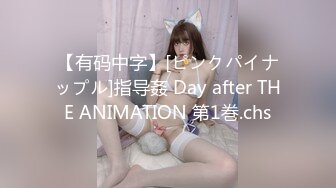 【有码中字】[ピンクパイナップル]指导姦 Day after THE ANIMATION 第1巻.chs