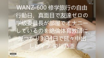 WANZ-600 修学旅行の自由行動日、真面目で友達ゼロの学級委員長が部屋でオナニーしているのを絶倫体育教師に見つかり3泊4日で延々中出しレイプ 栄川乃亜